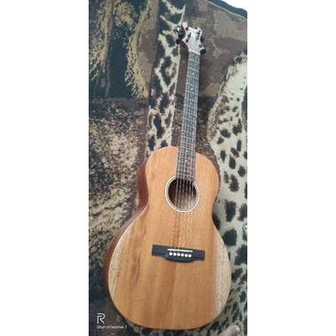 Gitar Parlour Solid Schecter Akustik