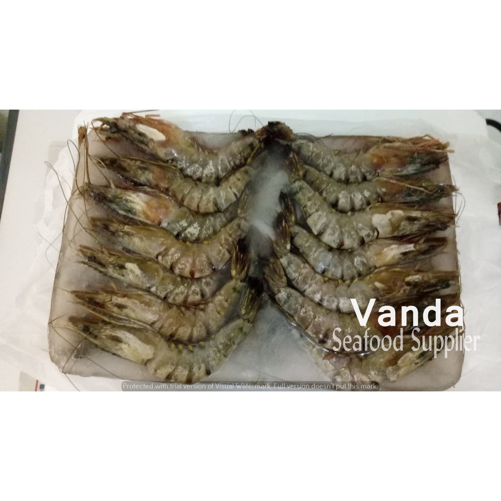 

Udang Tiger/Black tiger prawn JUMBO/Udang Windu size 31-40@1kg