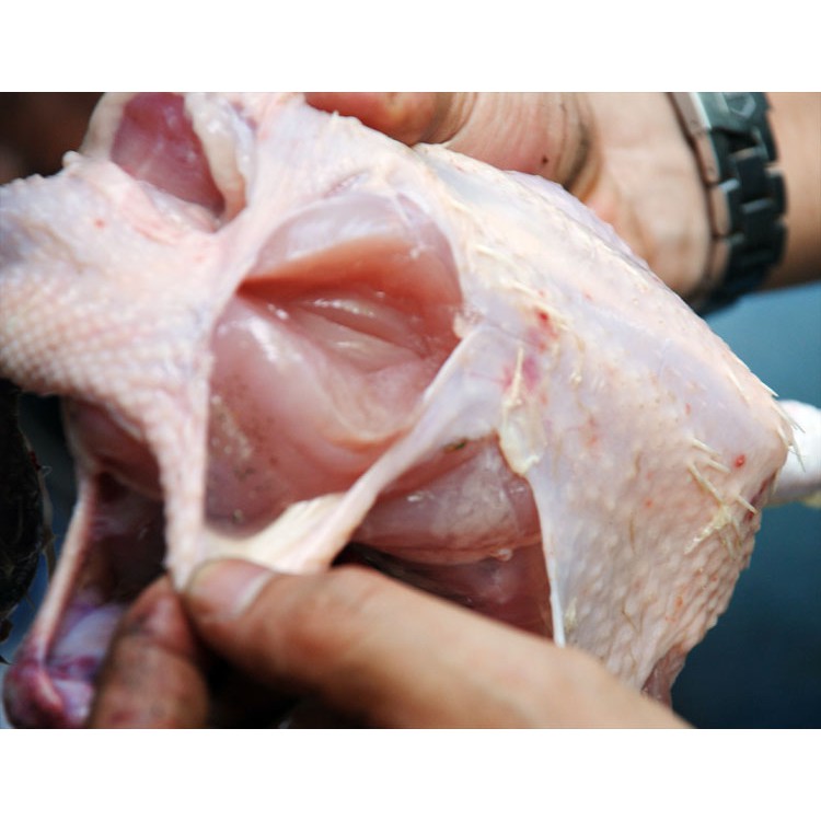 

Daging ayam kampung organik (karkas)