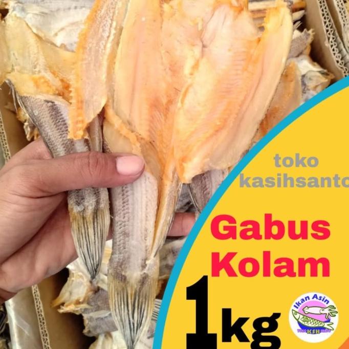 

[COD] ikan asin gabus kolam-1kg [COD]