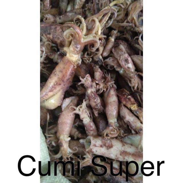 

Cumi Super / Cumi Balita / Cumi Tawar Sedang