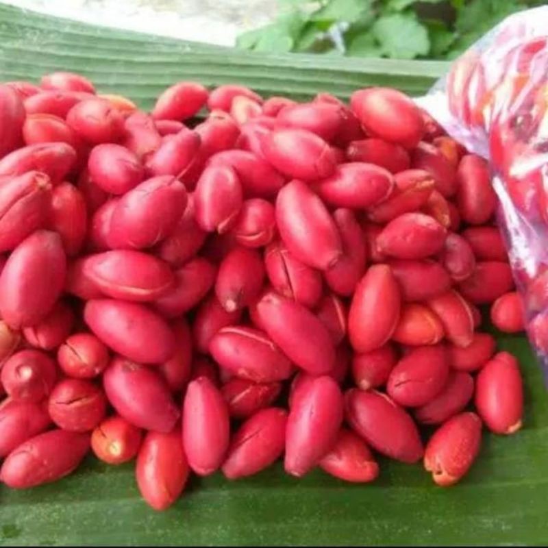 

KULIT MELINJO SEGAR 1KG// SAYURAN SEGAR FRESS