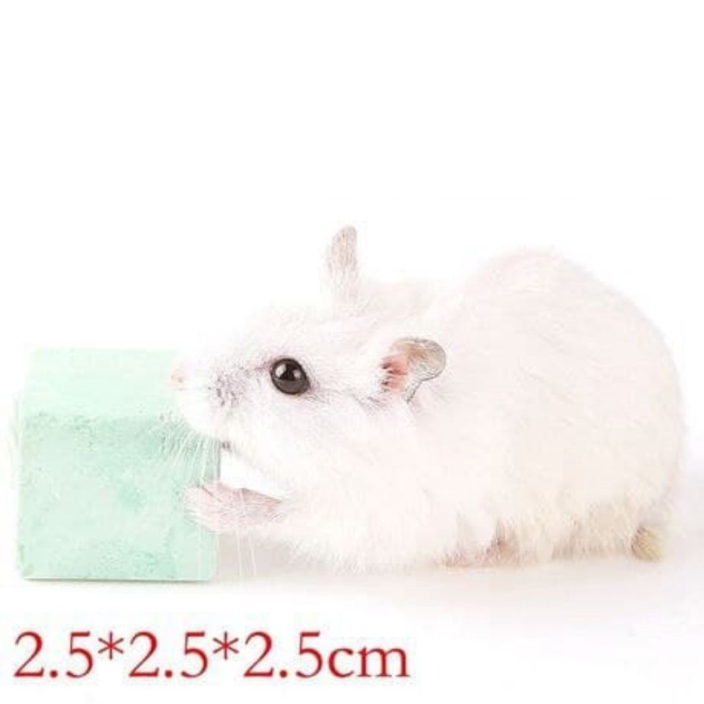 Creative Mineral Stone Calcium Salt Chew Pet Toy Teeth Grinder Hamster Lovely FEZONE