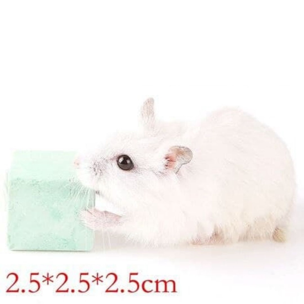 Creative Mineral Stone Calcium Salt Chew Pet Toy Teeth Grinder Hamster Lovely FEZONE