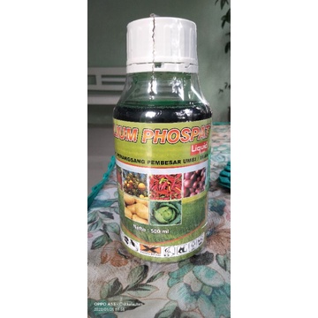 

Promo Puncak KALIUM PHOSPAT Spesial Perangsang Pembesar UMBI/Buah Netto 500 ml