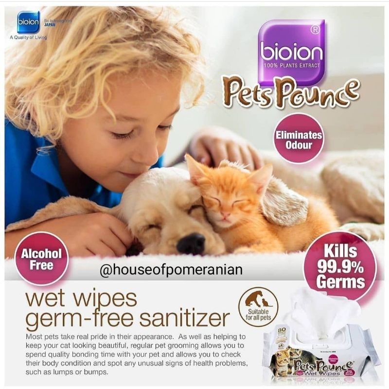 bioion pet wipes pounce non alcohol tissue basah anjing kucing hamster sakit kulit