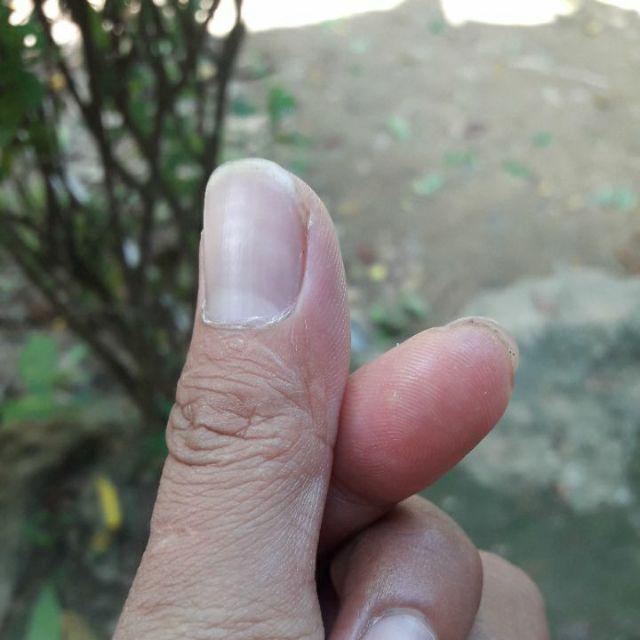 Pin Garuda Indonesia