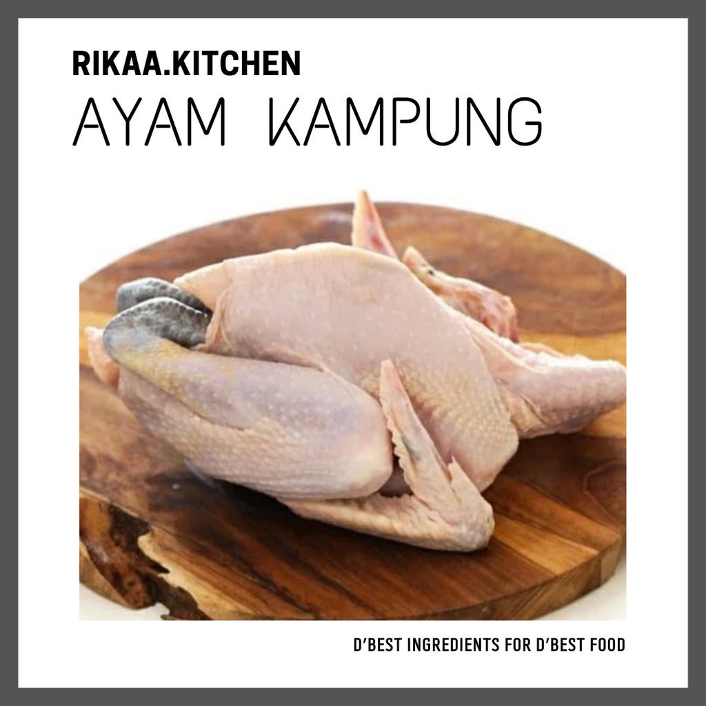 

AYAM KAMPUNG 600-700gr
