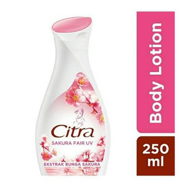 Citra Hand and Body Lotion Sakura Fair 250gr