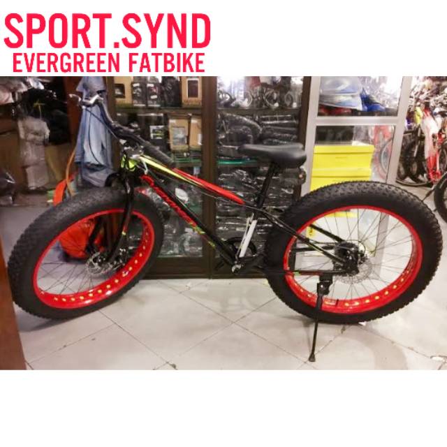 evergreen fatbike