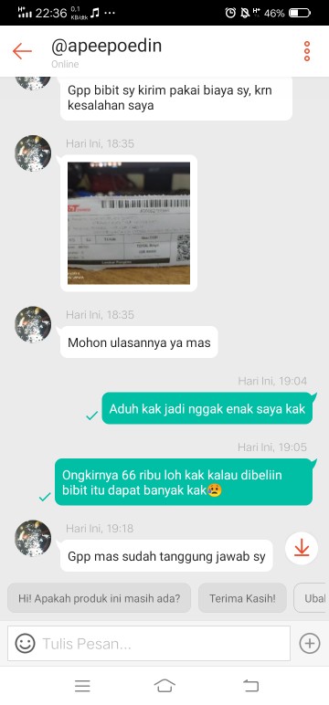 Benih Porang Asal Bunga Bukan Katak Ataupun Umbi Porang