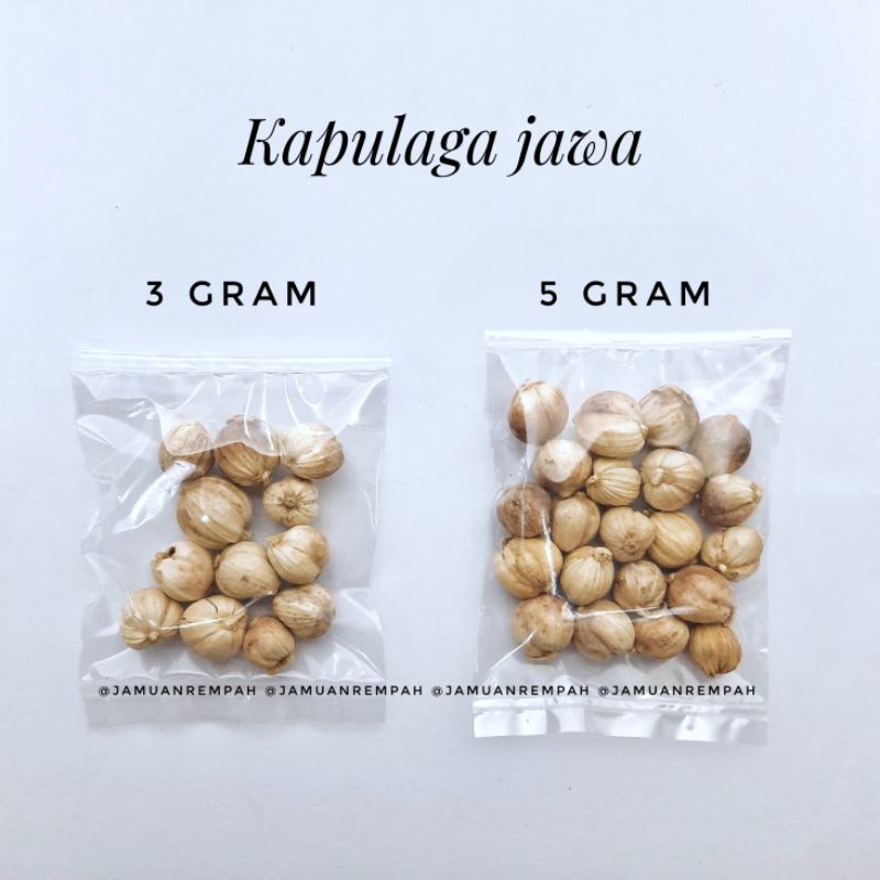 

Kapulaga Putih Ecer / Kapulaga Jawa / Kapol / White Cardamom