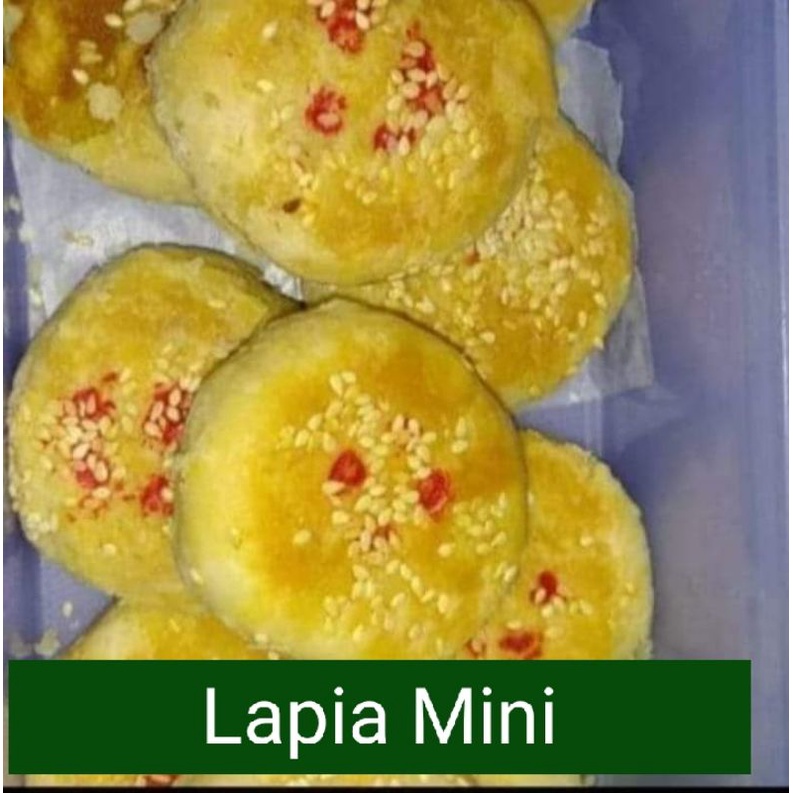 

Lapia Mini