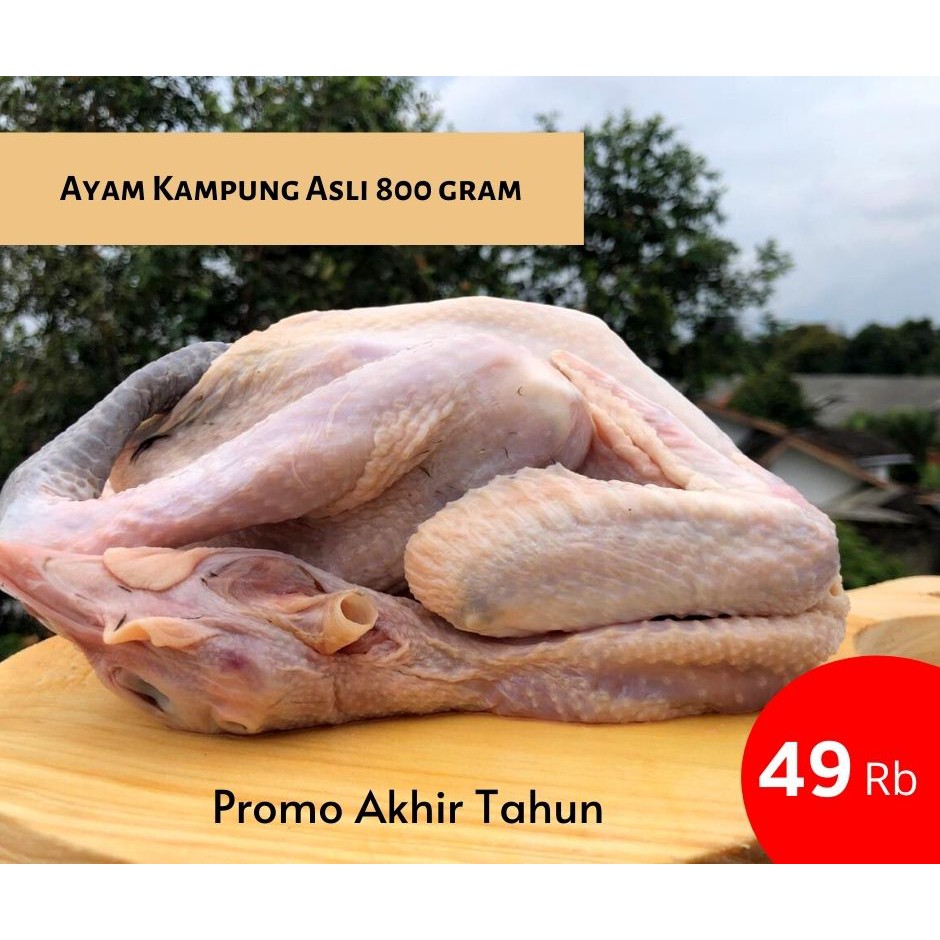 

Karkas Ayam Kampung Asli 800 gram (via gojek/grab)