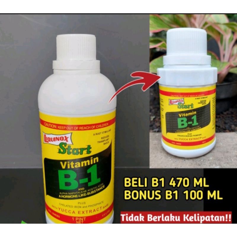 Vitamin B1 Tanaman 470Ml Liquinox Start Anti Stres Tanaman