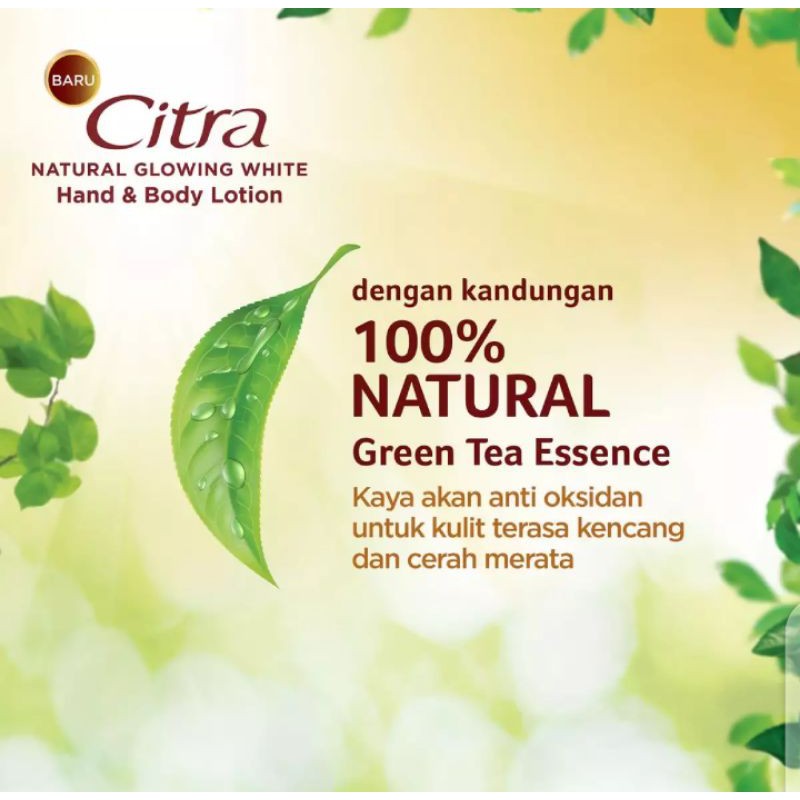 Citra Hand Body Lotion Glowing White UV - 380ml