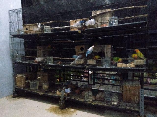 Terlaris Serut Genes Jelita Tunik Navbor Yelbor Whitebor Creambor Tunik Batik Modern