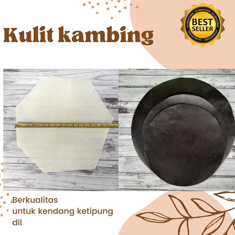 Kulit dut ketipung kendang kulit kambing buat Dut atau blem ukuran