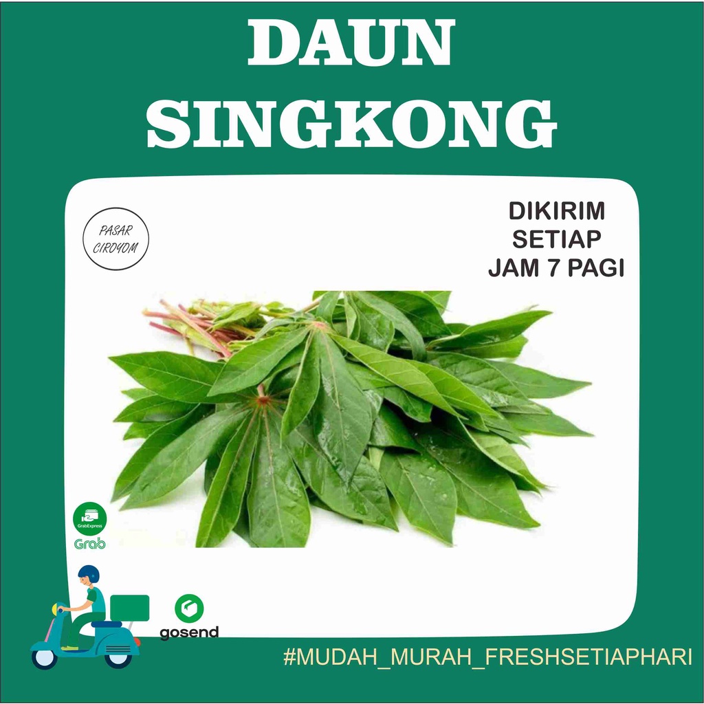 

DAUN SINGKONG FRESH BANDUNG 1 IKAT