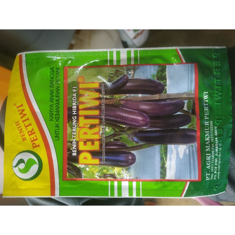 Benih Terong Pertiwi 5g