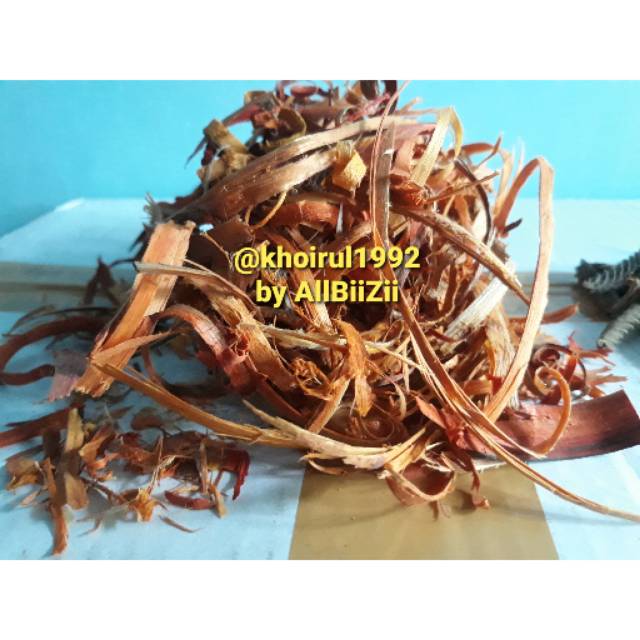 

Ramuan Minuman (Djamu Tradisional) Herbal Kayu Secang 150 Gram (Toga)