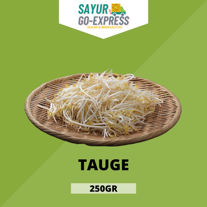 

tauge toge segar