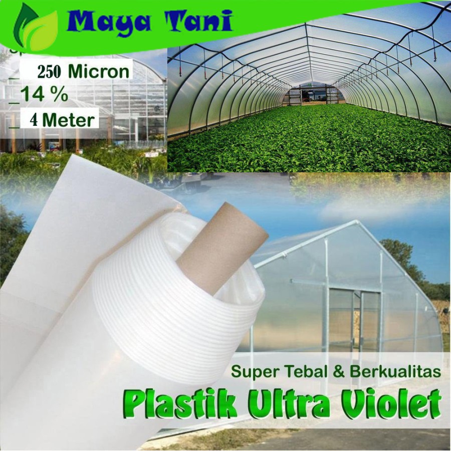 Plastik UV (Ultra Violet) Lebar 4 Meter 250 Micron