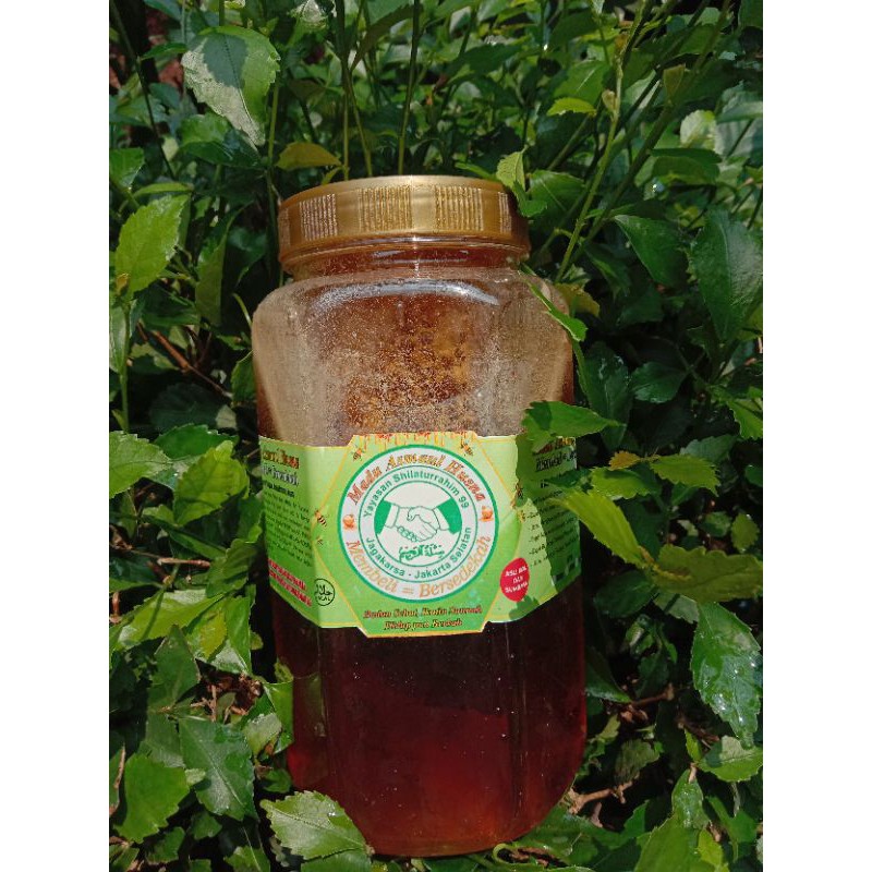 

Madu Hutan + Sarang 800 gram