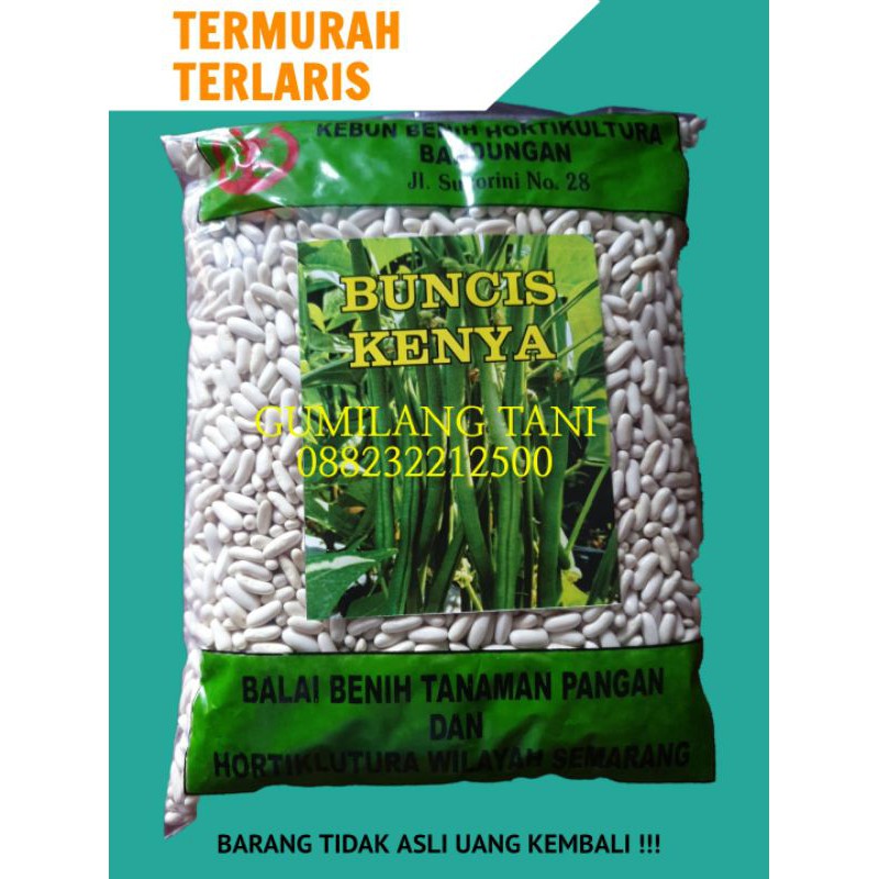 BENIH Buncis kenya buncis baby buncis prancis 1kg