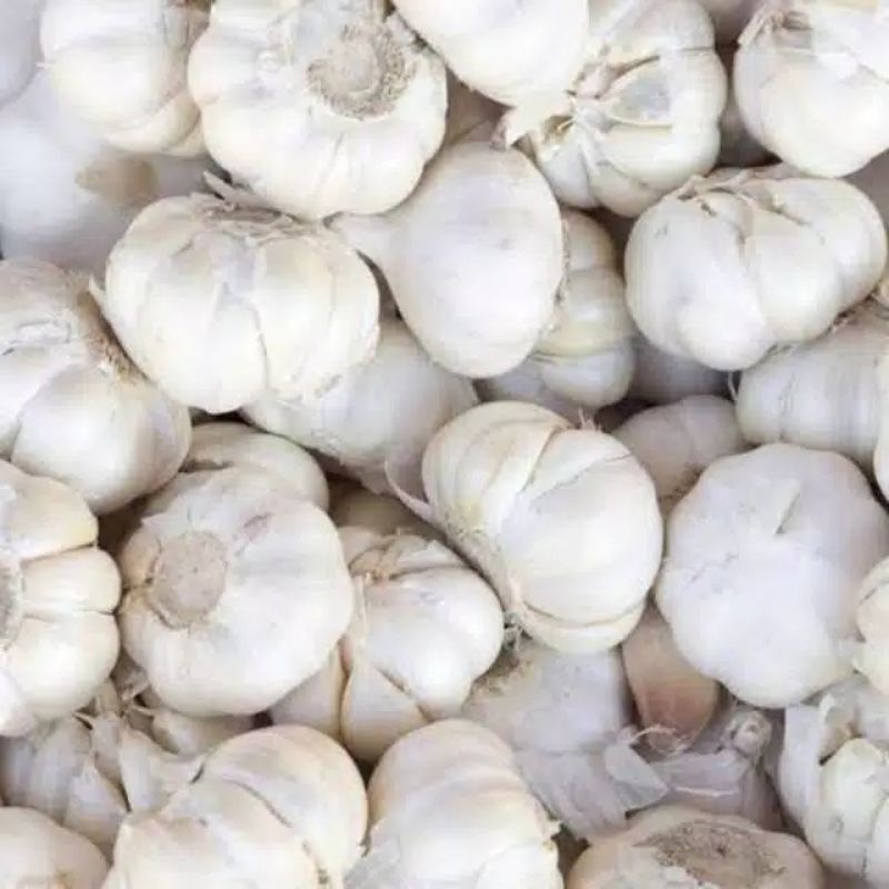 

RB Grosir 500 gram Bawang Putih Murah