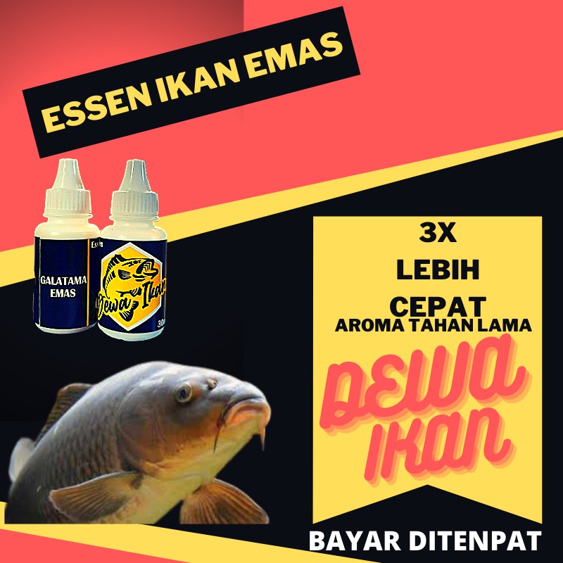 ESSEN ESEN ESSEN IKAN MAS ESEN IKAN MAS UMPAN IKAN MAS ALAT PANCING ESSEN OPLOSAN