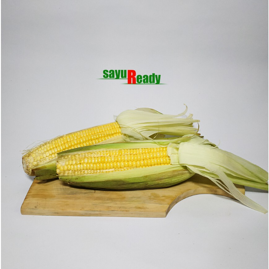 

Jagung Manis