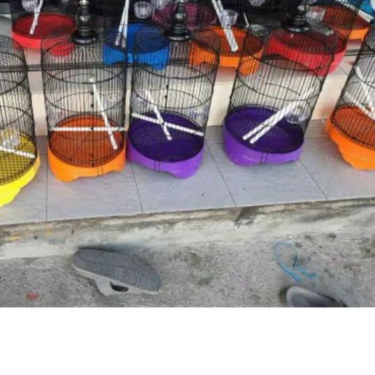 ♚ Sangkar lovebird pendek f1 diameter 33 cm - sangkar burung kenari lovebird ➩