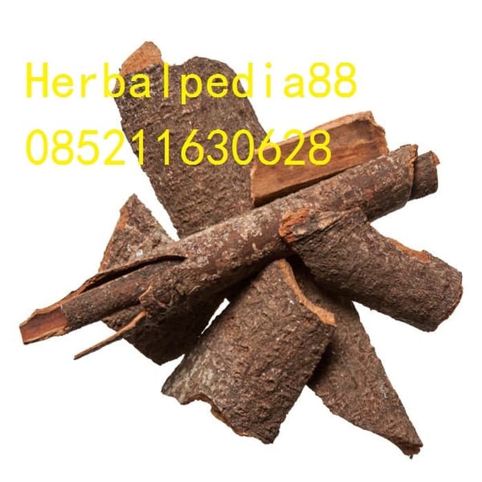 

Rou Gui Cinnamon Bark 100 gram