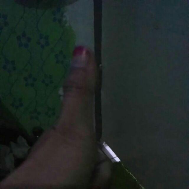 Free Bubble  Dan Kardus Teko Teh , Tea Pot 5in1