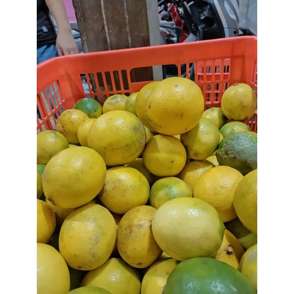

Lemon California Super 1/2 KG