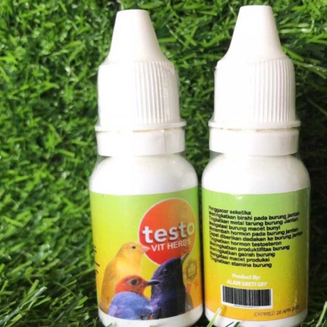 TESTO BIRD JAMU HERBAL VITAMIN BURUNG MENINGKATKAN PRODUKSI HORMON - KOEDAPAN BIRD SHOP