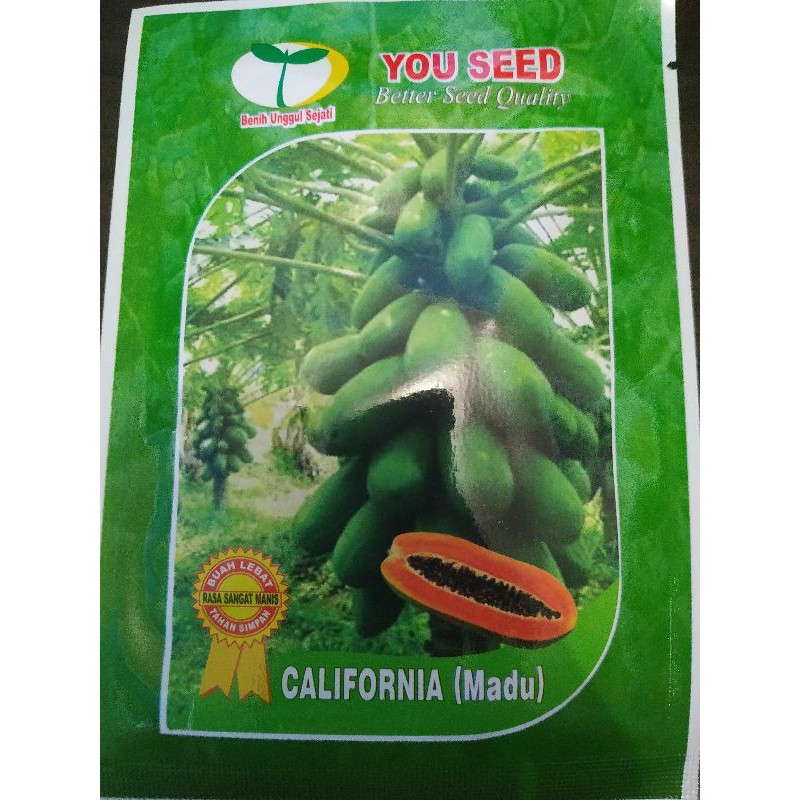 Benih Pepaya California Madu 1g