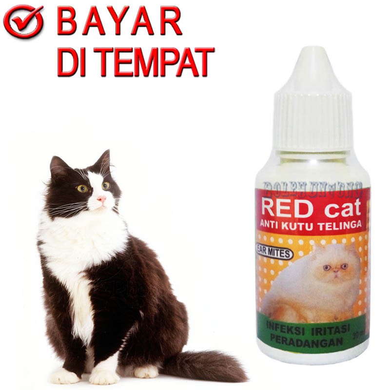RED CAT OBAT KUTU TELINGA KUCING SAKIT KUPING CONGEAN TETES