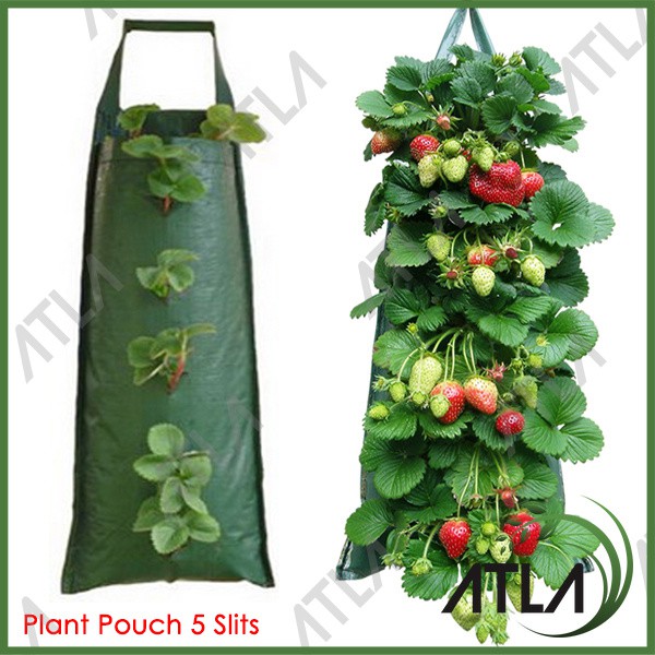 Pot Bunga Wadah Tanaman Planter Bag Gantung Plant Pouch 5 Lubang KP064