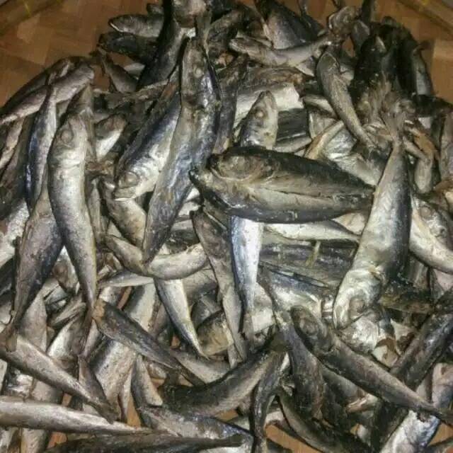 

Peda ikan layang dan tembang
