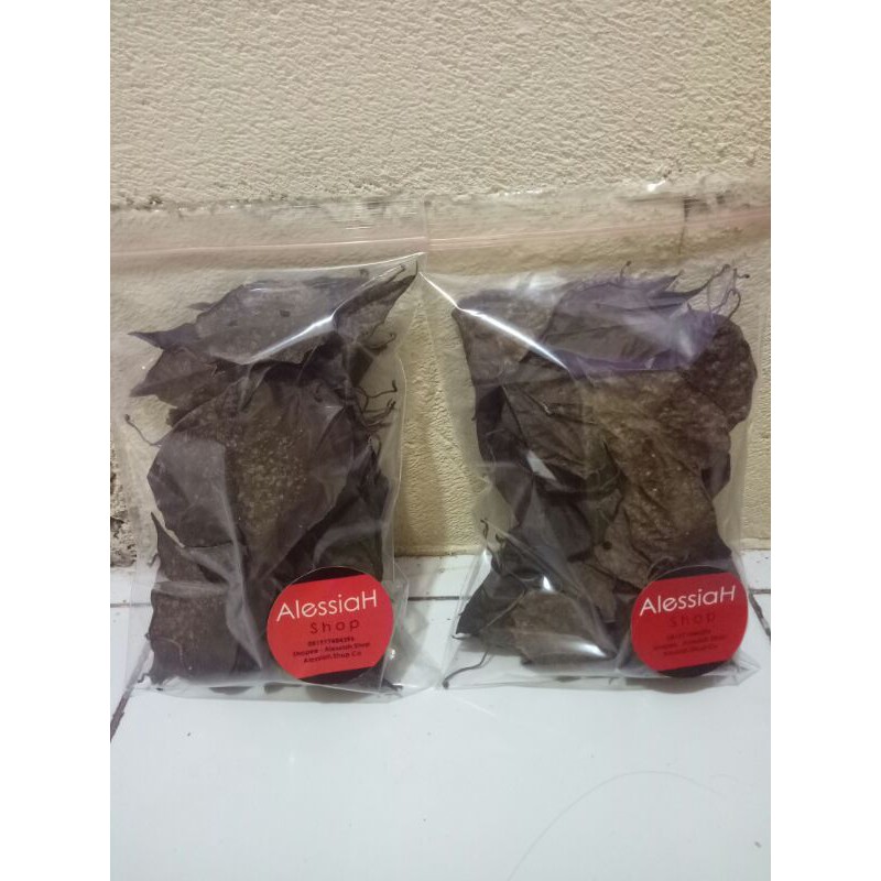 

Daun Sirih Merah Kering Obat Herbal Perbungkus