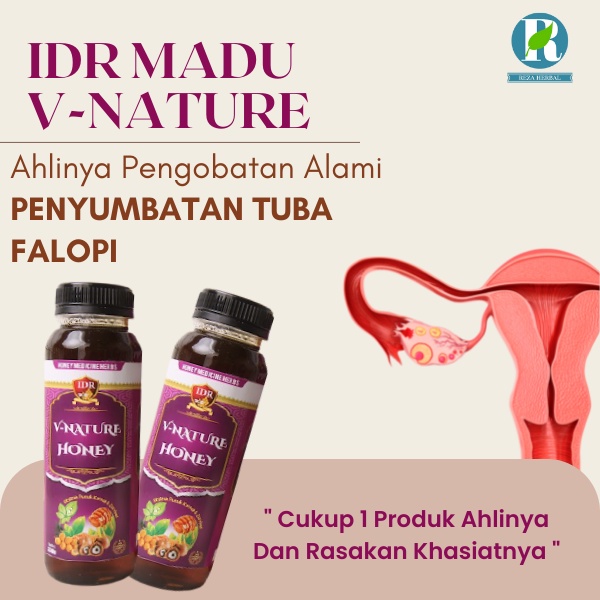 Obat Penyumbatan Tuba Falopi - IDR Madu V-Nature