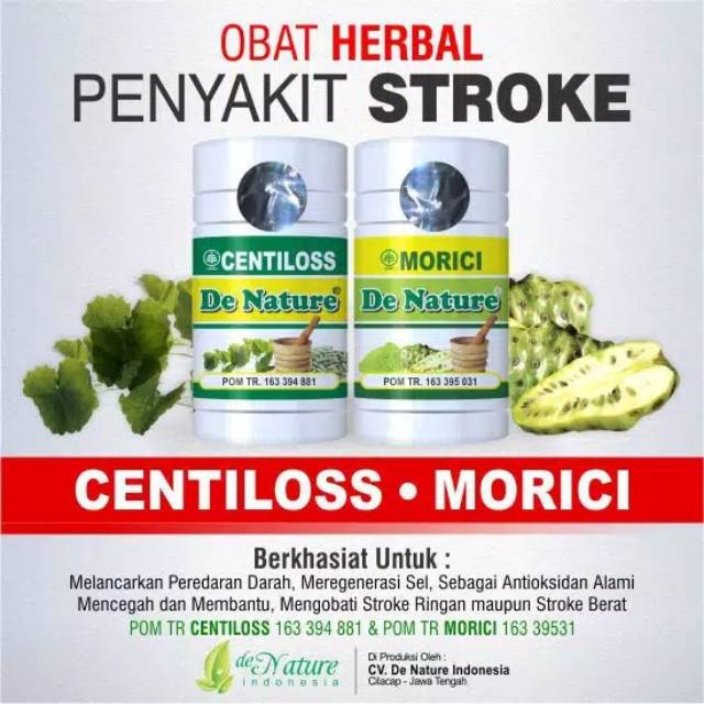 Centiloss+morici obat stroke ringan/stroke