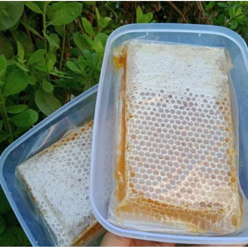 

Madu Sarang Melifera Kemasan 500 gram.