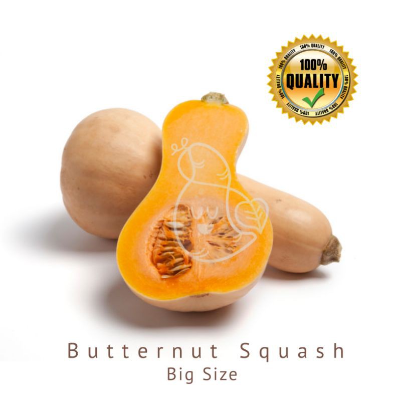 

Butternut Squash 1Pcs 900g - 1100g / Ubimart Official