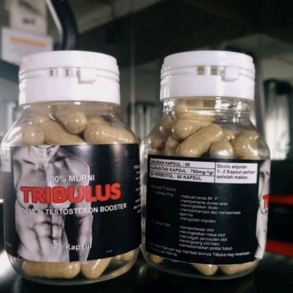 TRIBULUS HORMON TESTOSTERON Ready Stock