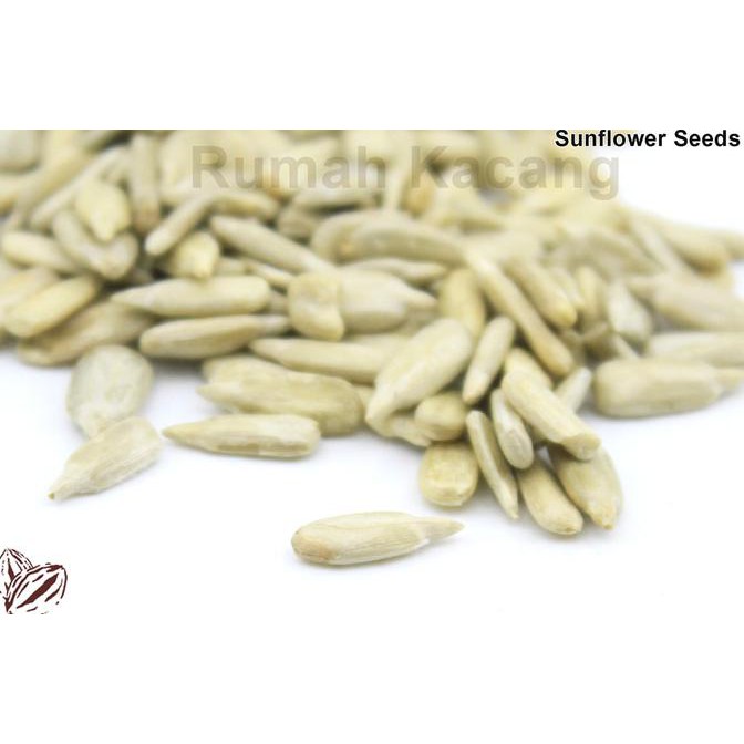 

ENAK Sun Flower / Biji Bunga Matahari Oven / Matang 1Kg TERLEZAT
