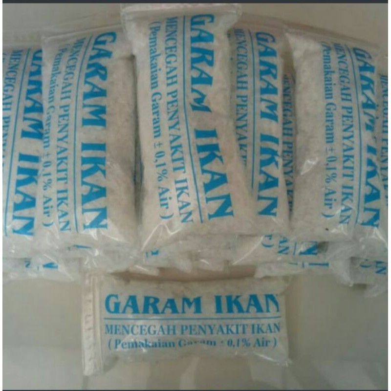 garam ikan cupang guppy