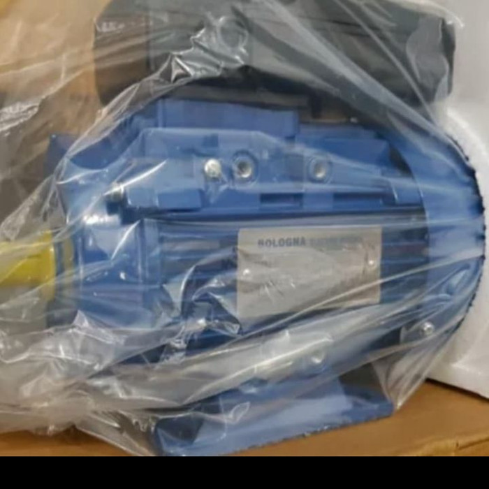 dinamo bologna 3hp/2pole/2850rpm/1phase B3